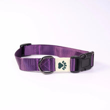 Load image into Gallery viewer, Collar - Purple
