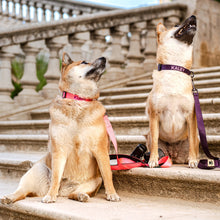 Cargar imagen en el visor de la galería, Collar - Rosa
