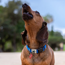 Load image into Gallery viewer, Collar - Blue
