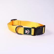 Load image into Gallery viewer, Collar - Yellow
