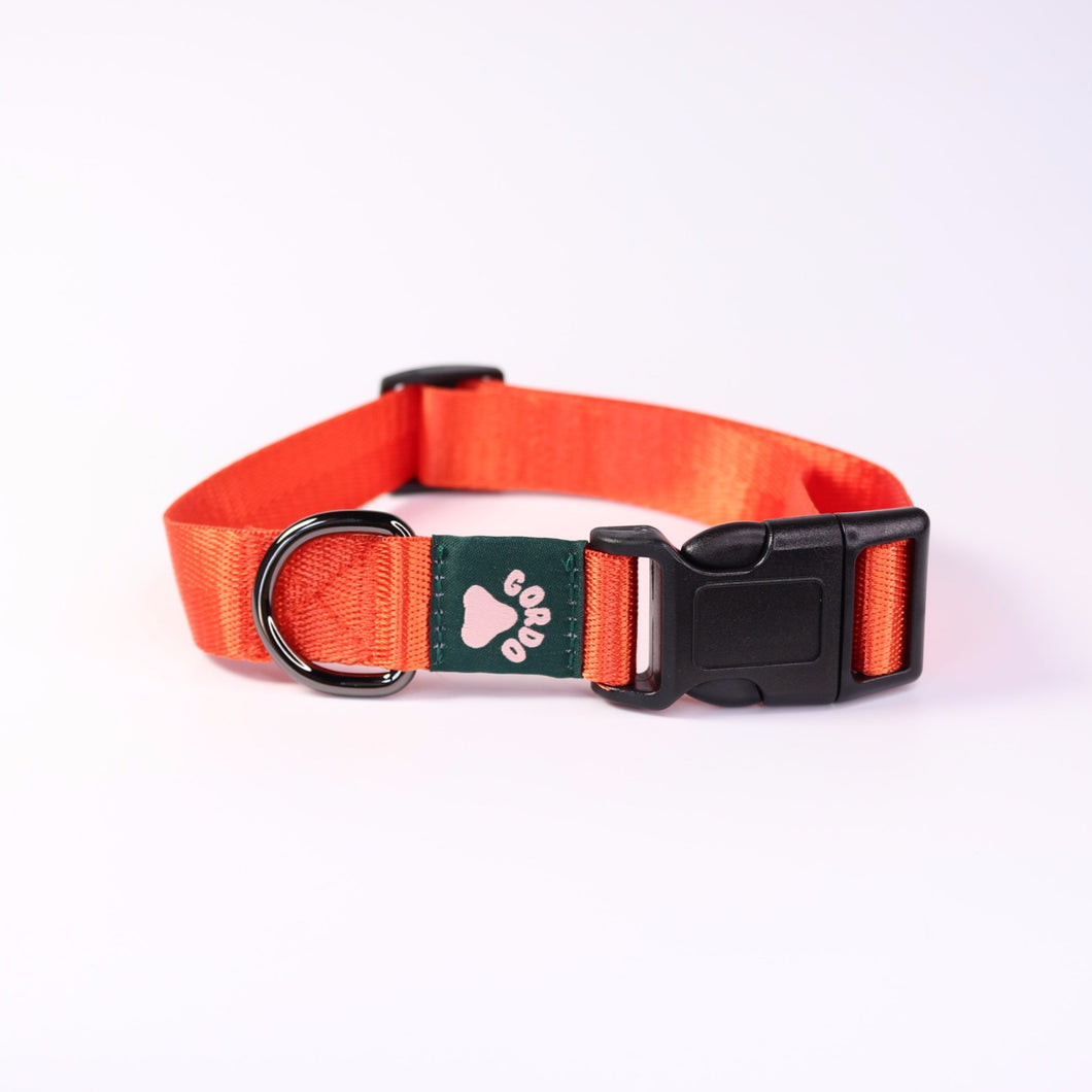 Collar - Orange