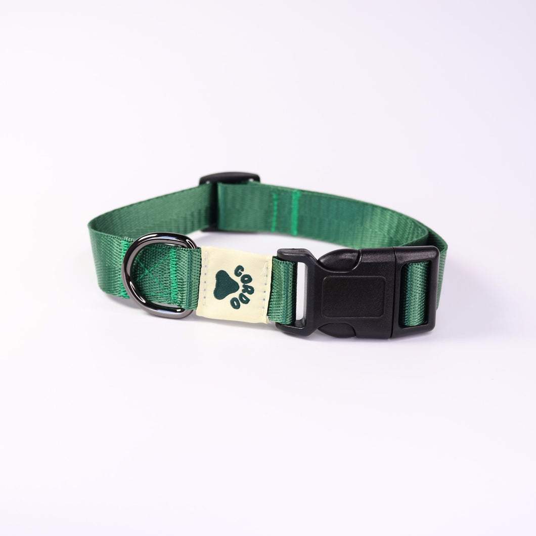 Collar - Green