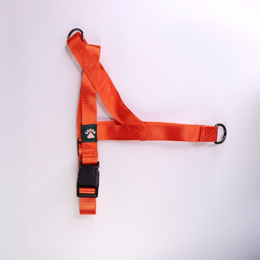 Harness - Orange