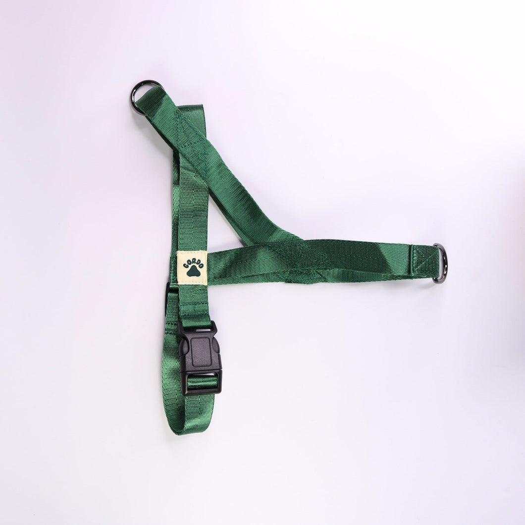 Harness - Green